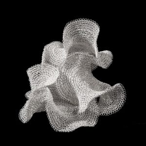 Eucarionte V / Escultura Sculpture